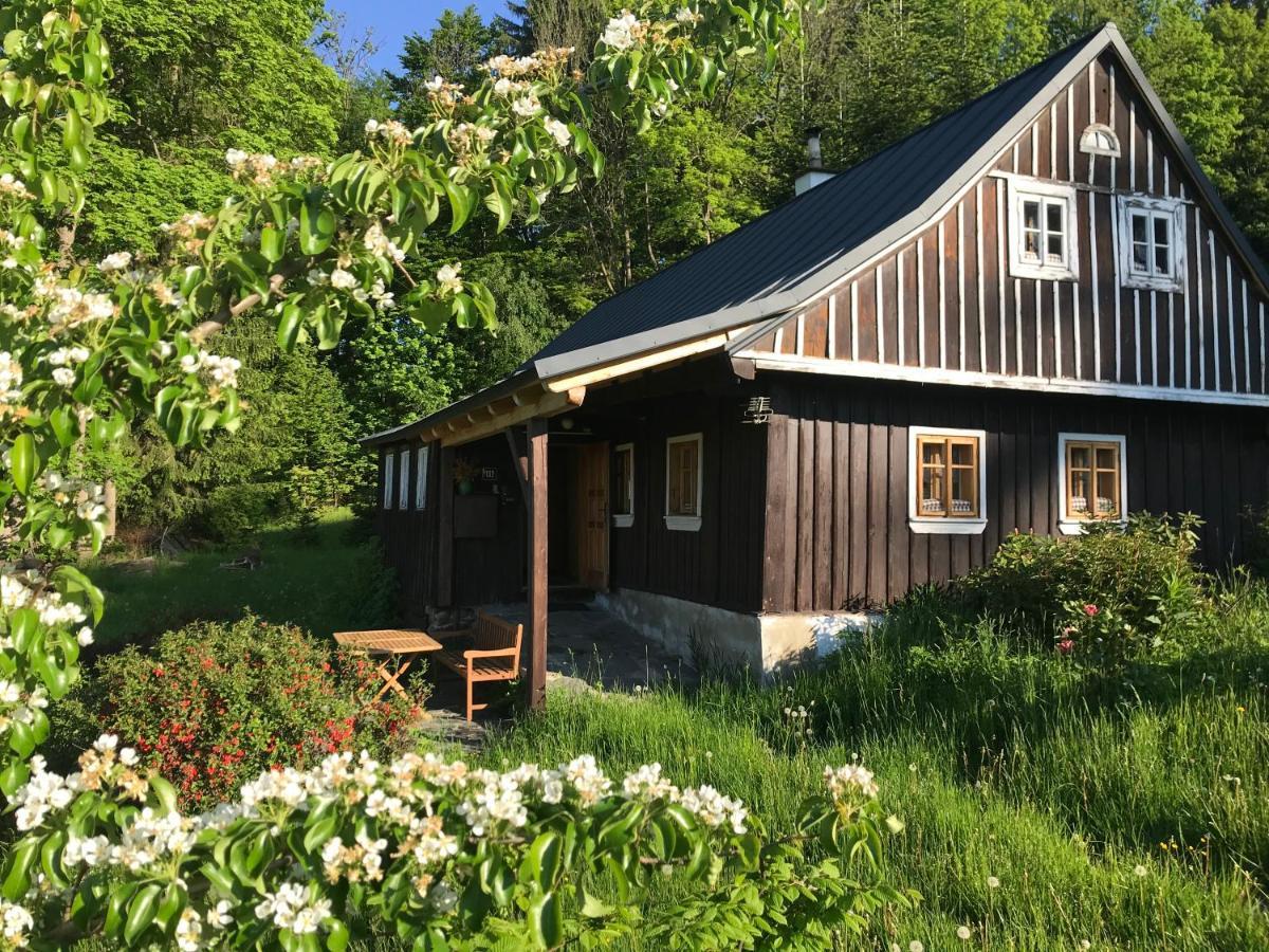 Chalet Paseky *